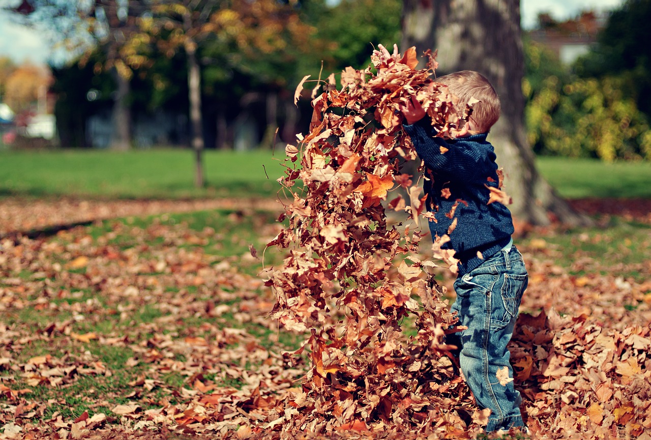 Enfant qui joue avec des feuilles en autômne